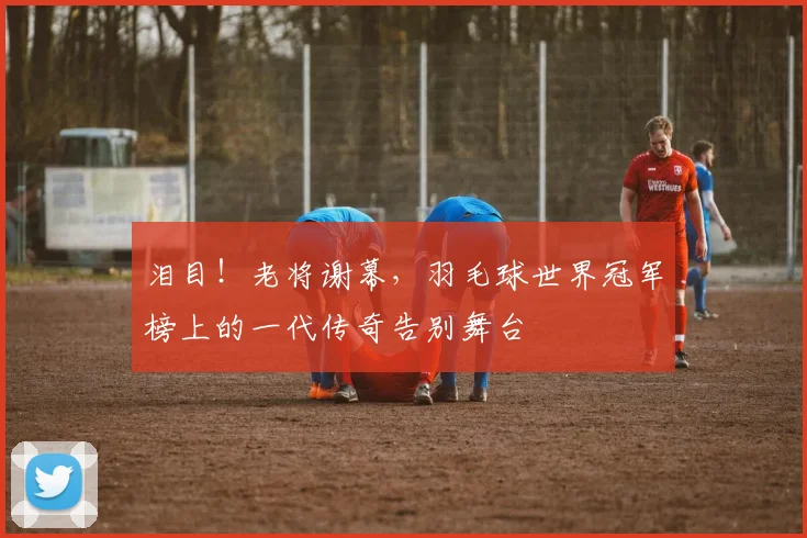 泪目！老将谢幕，羽毛球世界冠军榜上的一代传奇告别舞台
